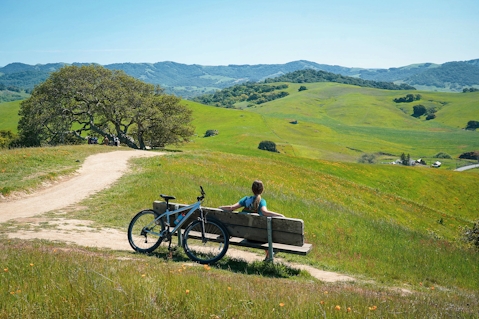 Woman sitting at a bench overlooking the fields and foothills at Helen Putnam Regional Park near Petaluma.
