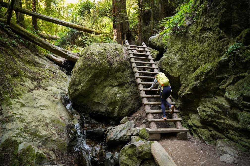 Woman hiker is climbing up the ladder in the Steep Ravine section of the Dipsea Loop Trail on Mount Tam