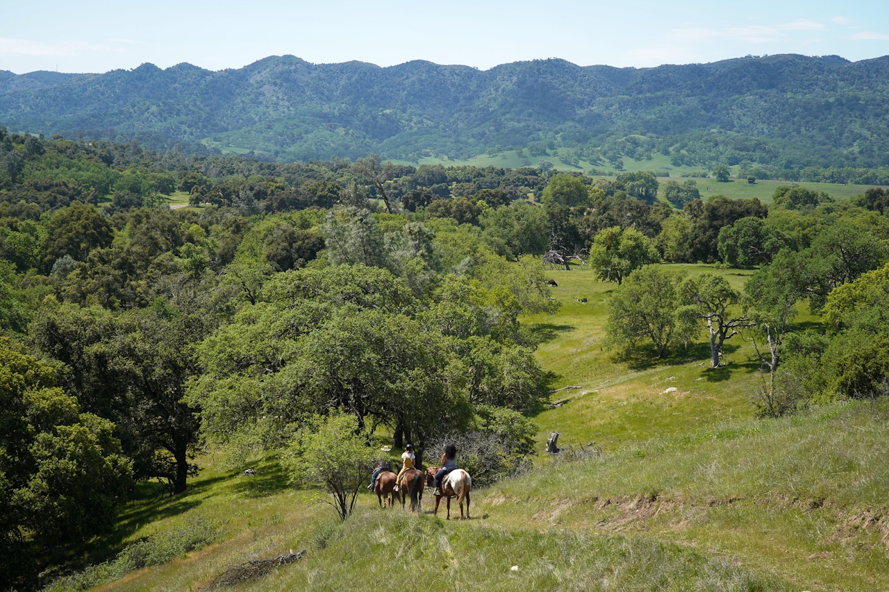 Horseback riders with Central Coast Trailrides in Paso Robles are up high at a vantage point of the Santa Lucia Mountains at Santa Margarita Ranch in Paso Robles
