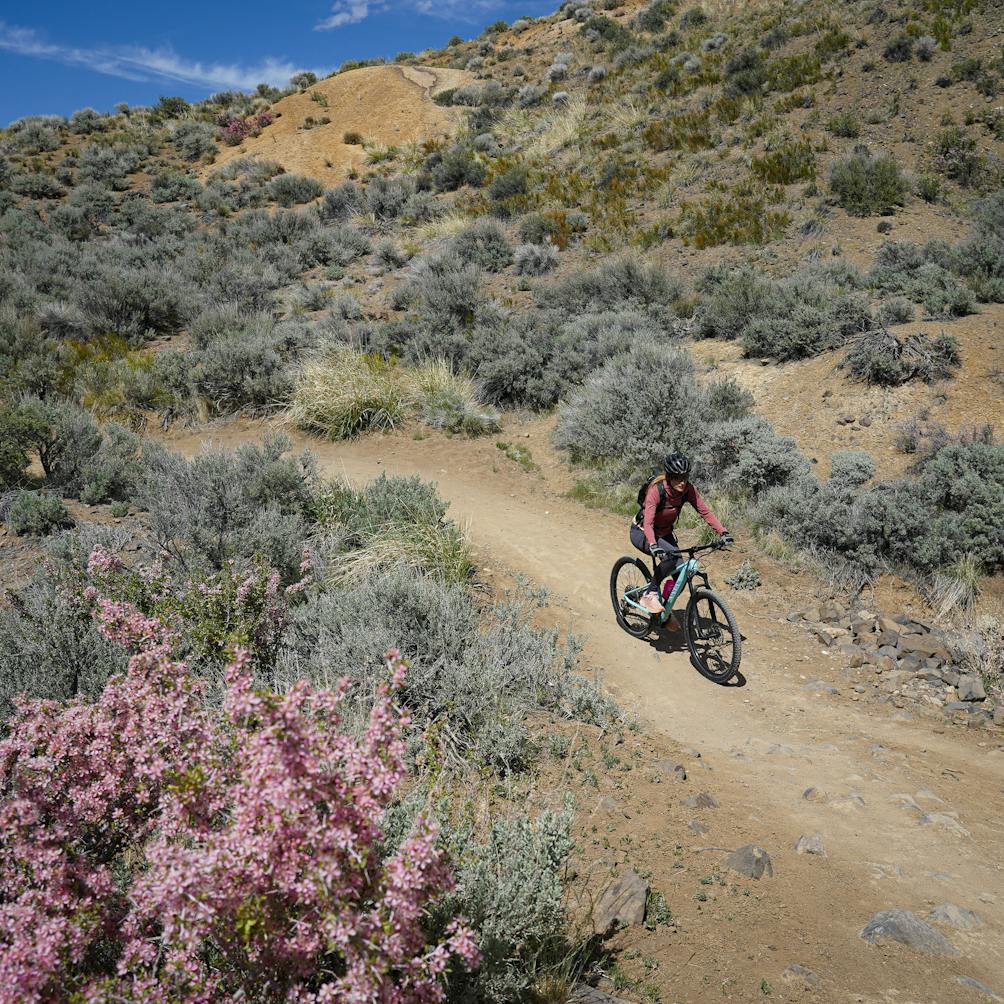 A mountain bike rider on the dirt trails at Keystone Canyon in Reno