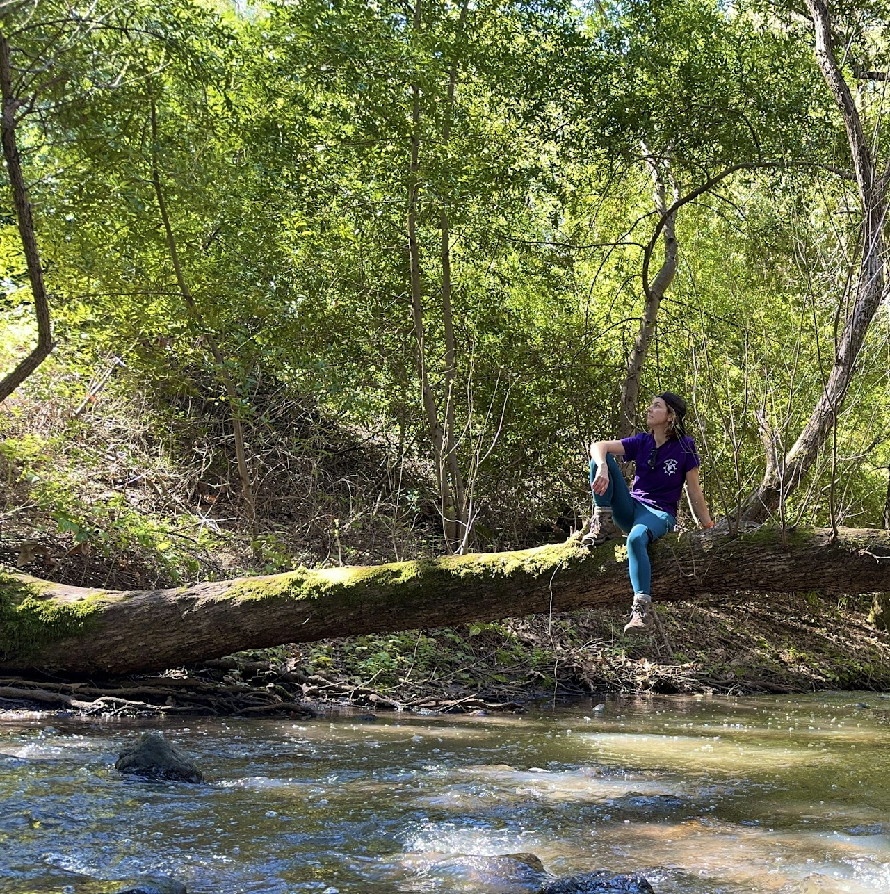 Woman sits on a fallen tree log over a creek at Almaden Quicksilver County Park 