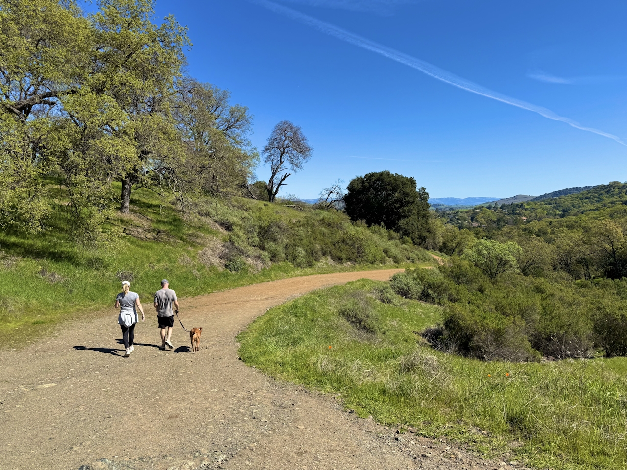 Walkers with their dog on a wide section of Senador Mine Trail in Almaden Quicksilver County Park 