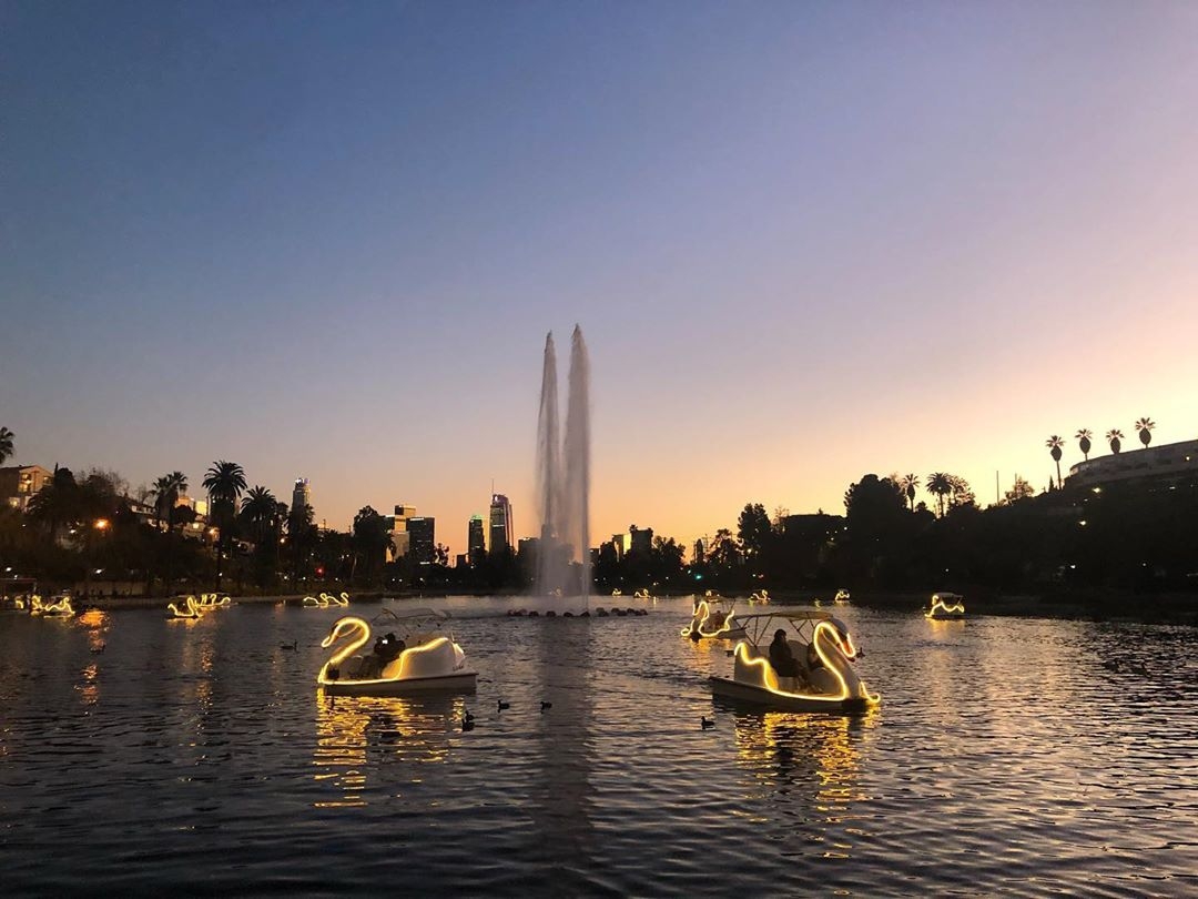 Swan Pedal Boats alight on Echo Park Lake