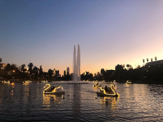 Swan Pedal Boats alight on Echo Park Lake 