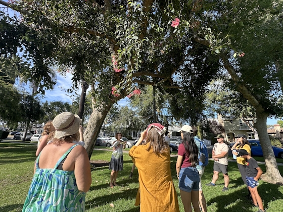 Group of people gathered around Stephanie Carrie who leads the Tree Tour of LA